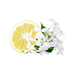 Limone | Gelsomin