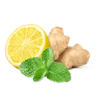 Lime - Menta - Zenzero